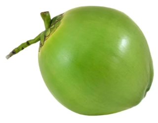 ÁGUA DE COCO